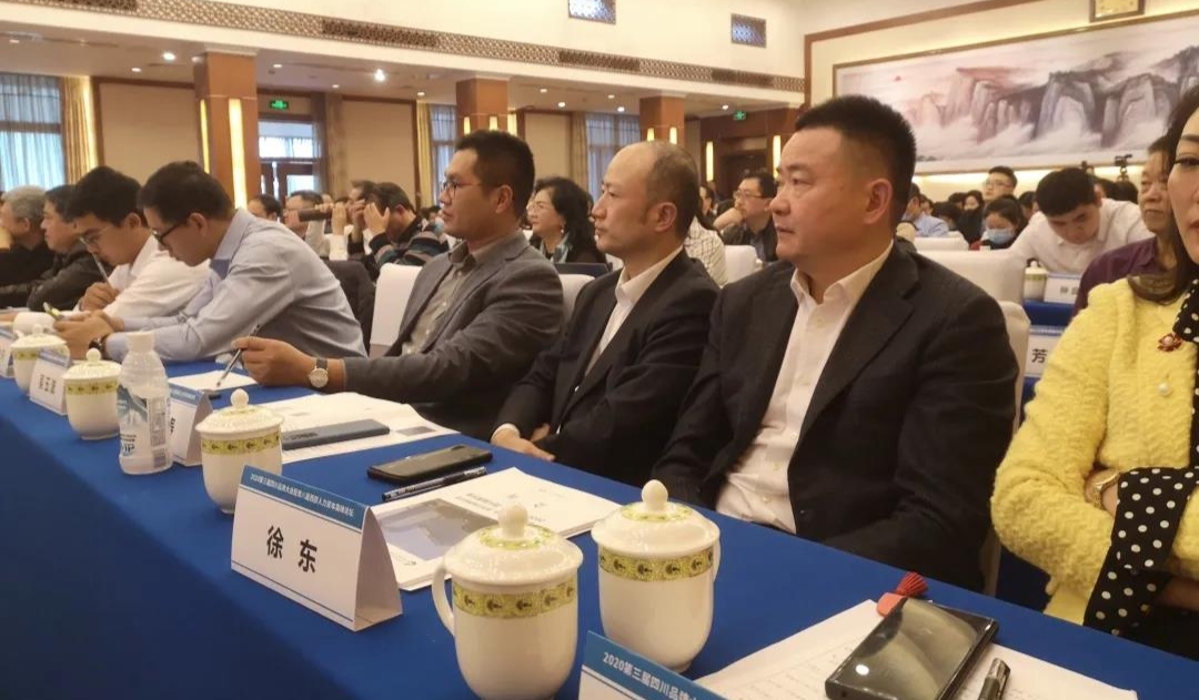 徐东董事长出席第八届中国西部人力资本高峰论坛 
